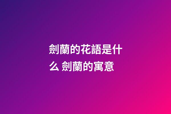 劍蘭的花語是什么 劍蘭的寓意